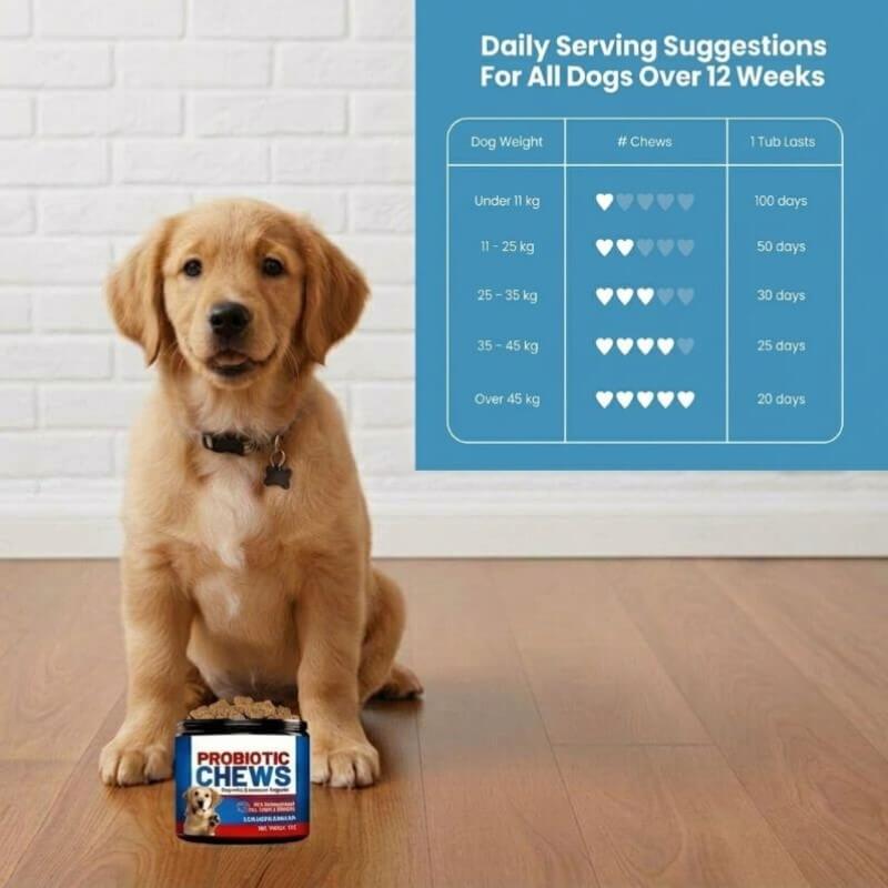 Puppyum™ Happy Tummy Probiotic