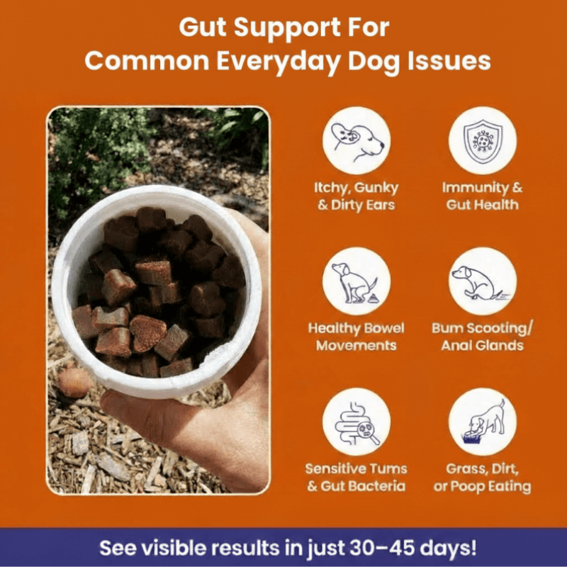 Puppyum™ Happy Tummy Treats