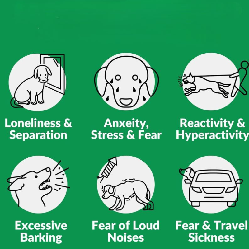 Puppyum™ Chill Out Treats