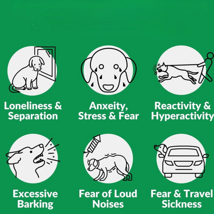 Puppyum™ Chill Out Treats