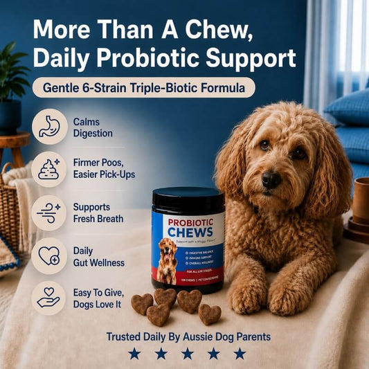Puppyum™ Happy Tummy Probiotic