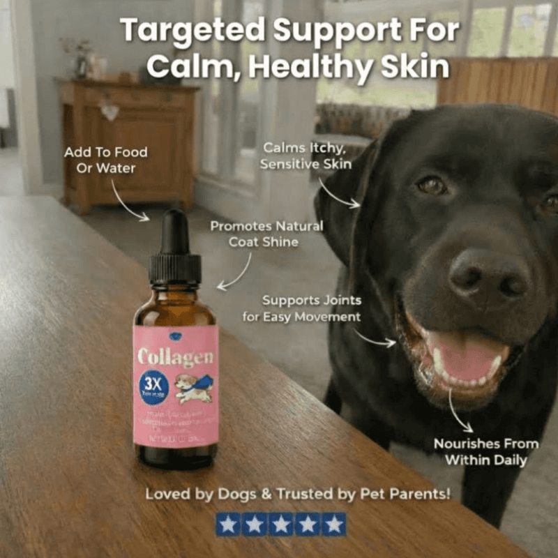 Puppyum™ Itch Ease Drops