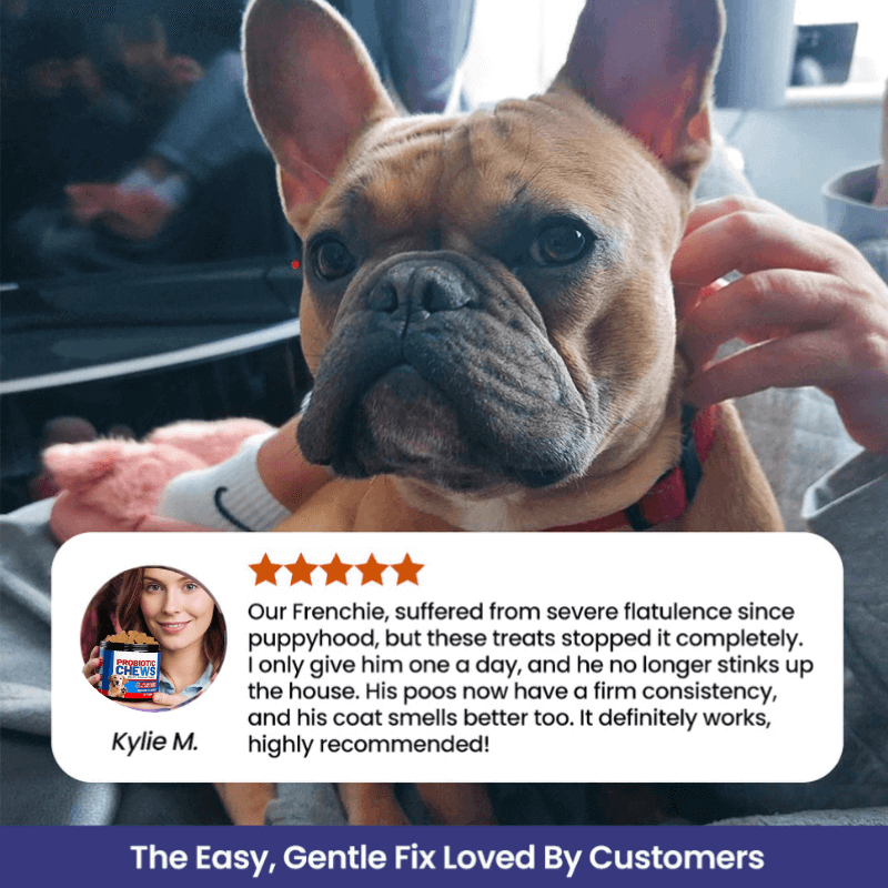 Puppyum™ Happy Tummy Treats