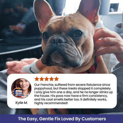 Puppyum™ Happy Tummy Treats