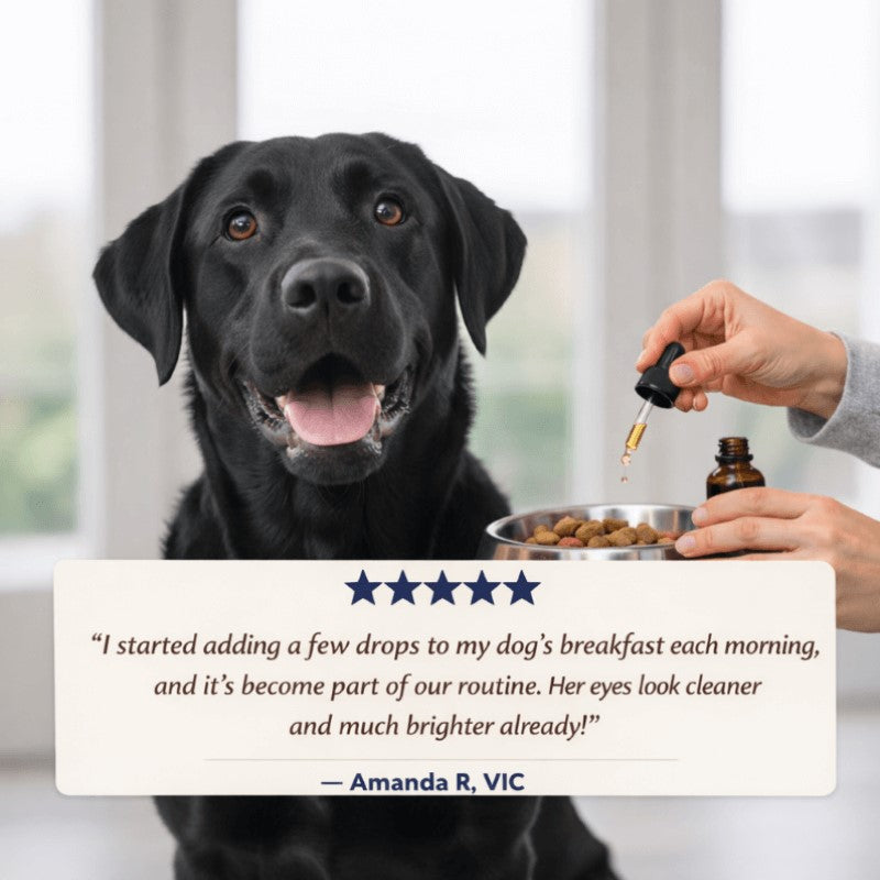Puppyum™ Bright Eye Drops