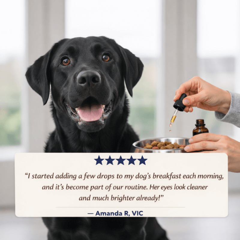 Puppyum™ Bright Eye Drops