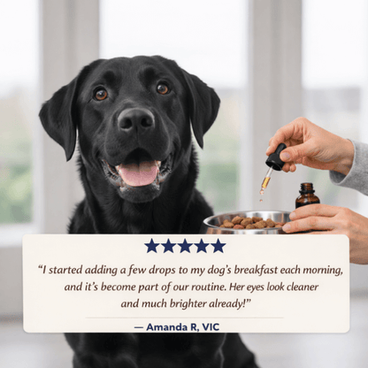 Puppyum™ Bright Eye Drops