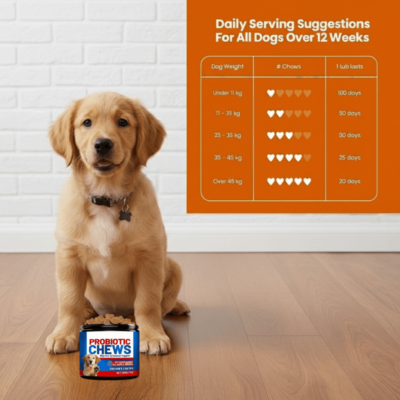 Puppyum™ Happy Tummy Treats