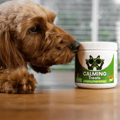 Puppyum™ Chill Out Treats