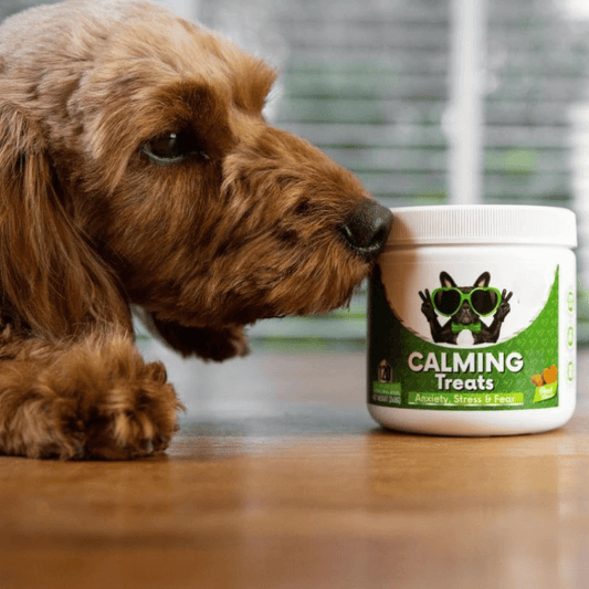 Puppyum™ Chill Out Treats