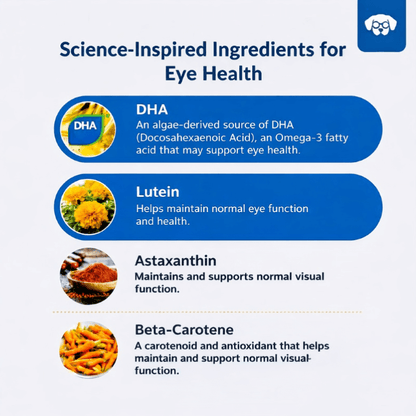 Puppyum™ Seen It All Treats