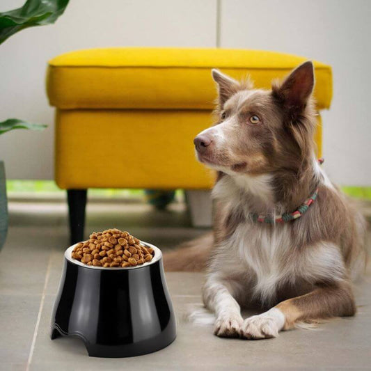 Puppyum™ Elevated Bowl