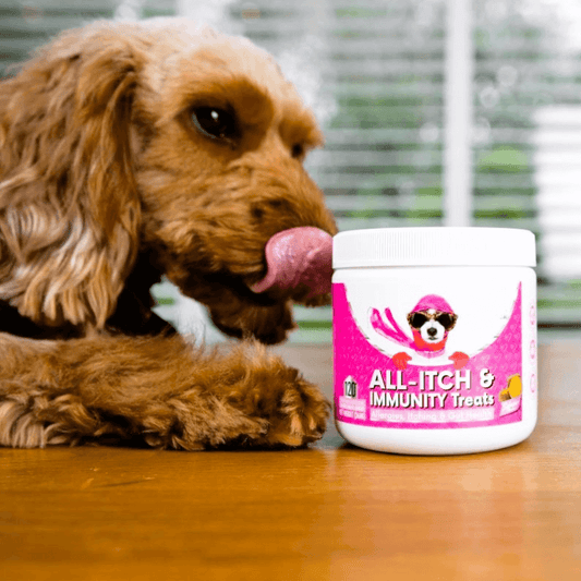 Puppyum™ Itch Ease Treats
