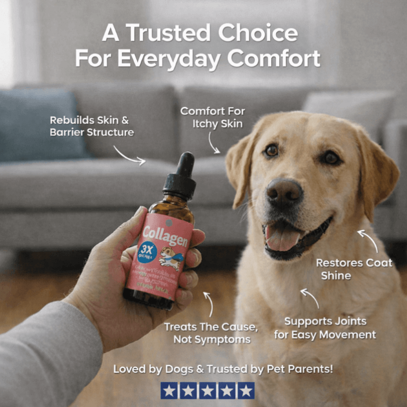 Puppyum™ Itch Ease Drops