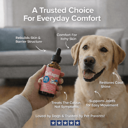 Puppyum™ Itch Ease Drops