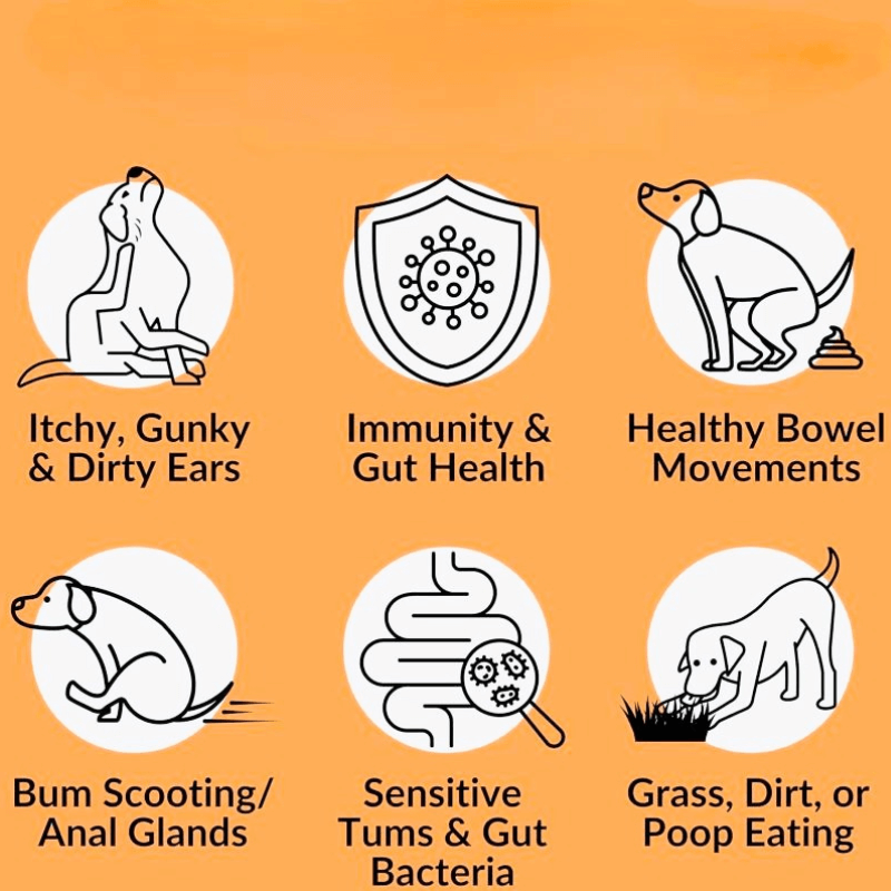 Puppyum™ Happy Tummy Treats