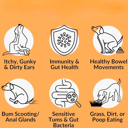 Puppyum™ Happy Tummy Treats