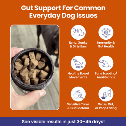 Puppyum™ Happy Tummy Treats