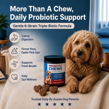 Puppyum™ Happy Tummy Probiotic