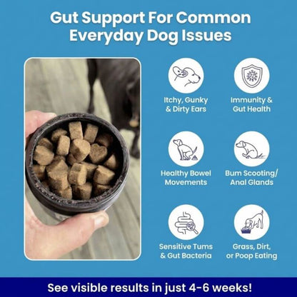 Puppyum™ Happy Tummy Probiotic