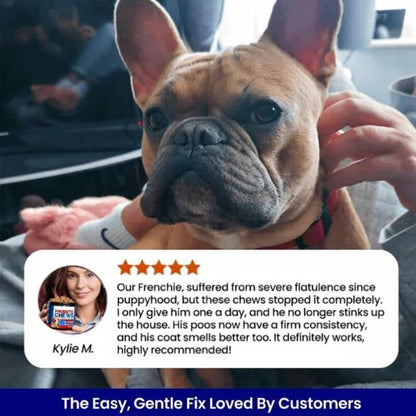 Puppyum™ Happy Tummy Probiotic