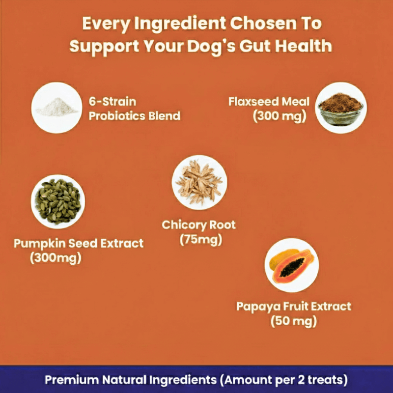 Puppyum™ Happy Tummy Treats