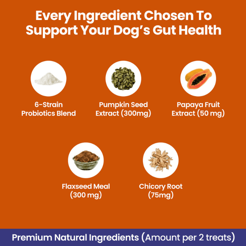 Puppyum™ Happy Tummy Treats