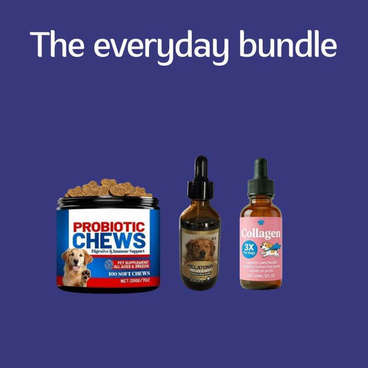 Puppyum™ Everyday Bundle