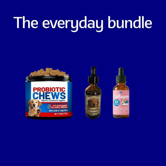 Puppyum™ Everyday Bundle