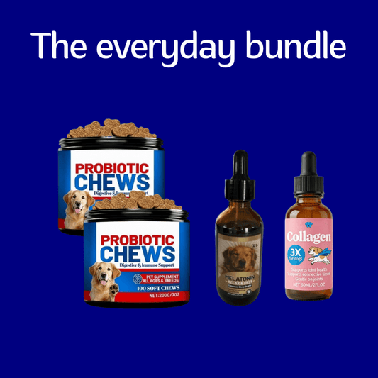 Puppyum™ Everyday Bundle