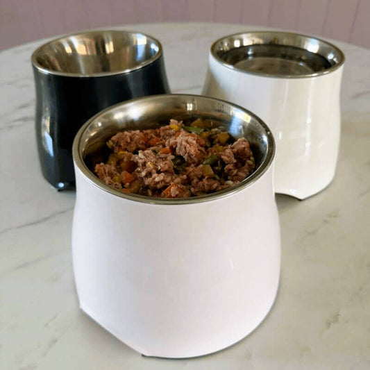 Puppyum™ Comfort Bowl